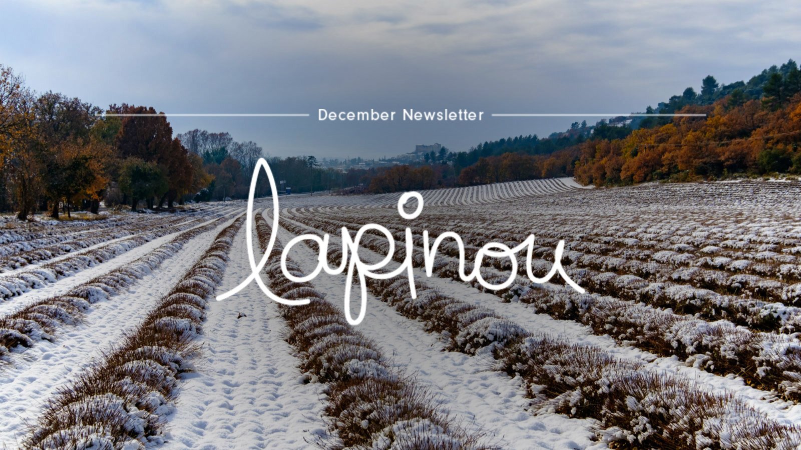 Header_DEC.jpg