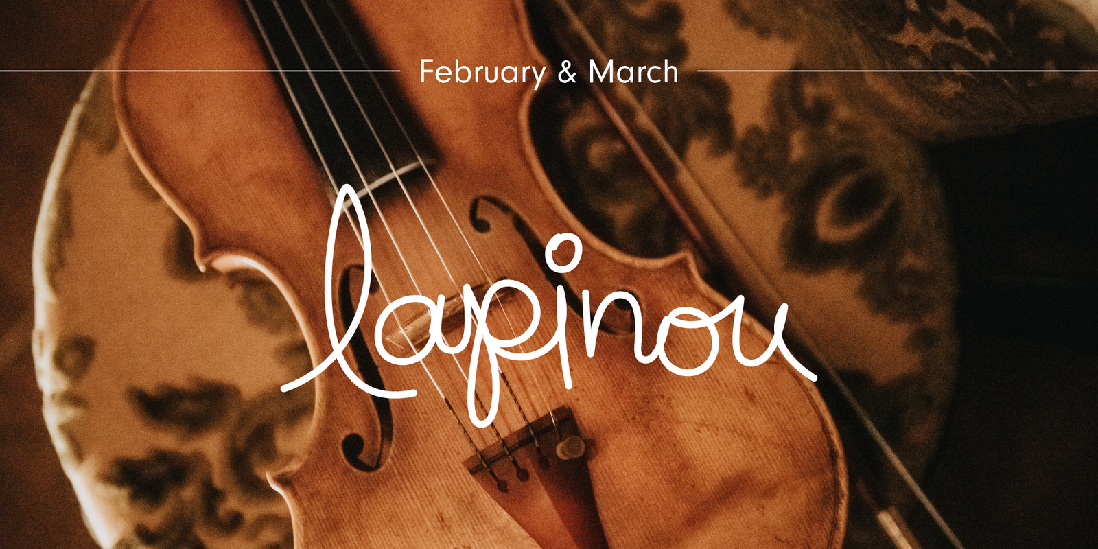 L_A_Newsletter_Template_Header-01-01.png