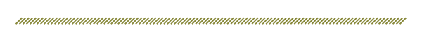 L_A_Newsletter_Template_Divider.png